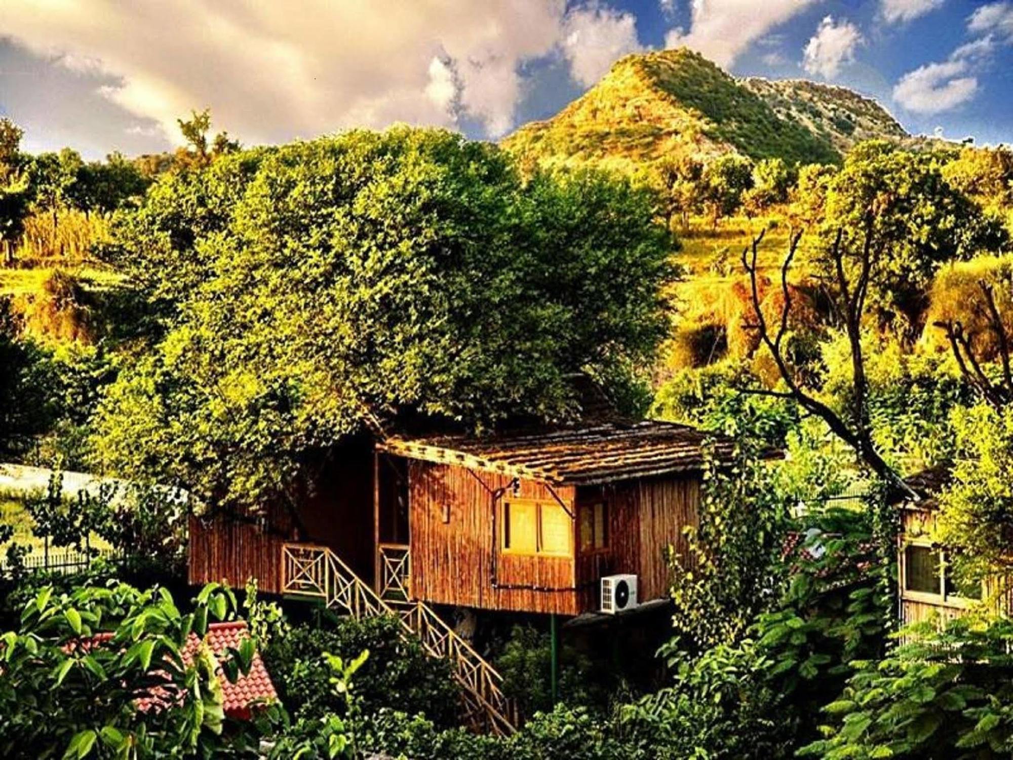 The Tree House Resort 4*