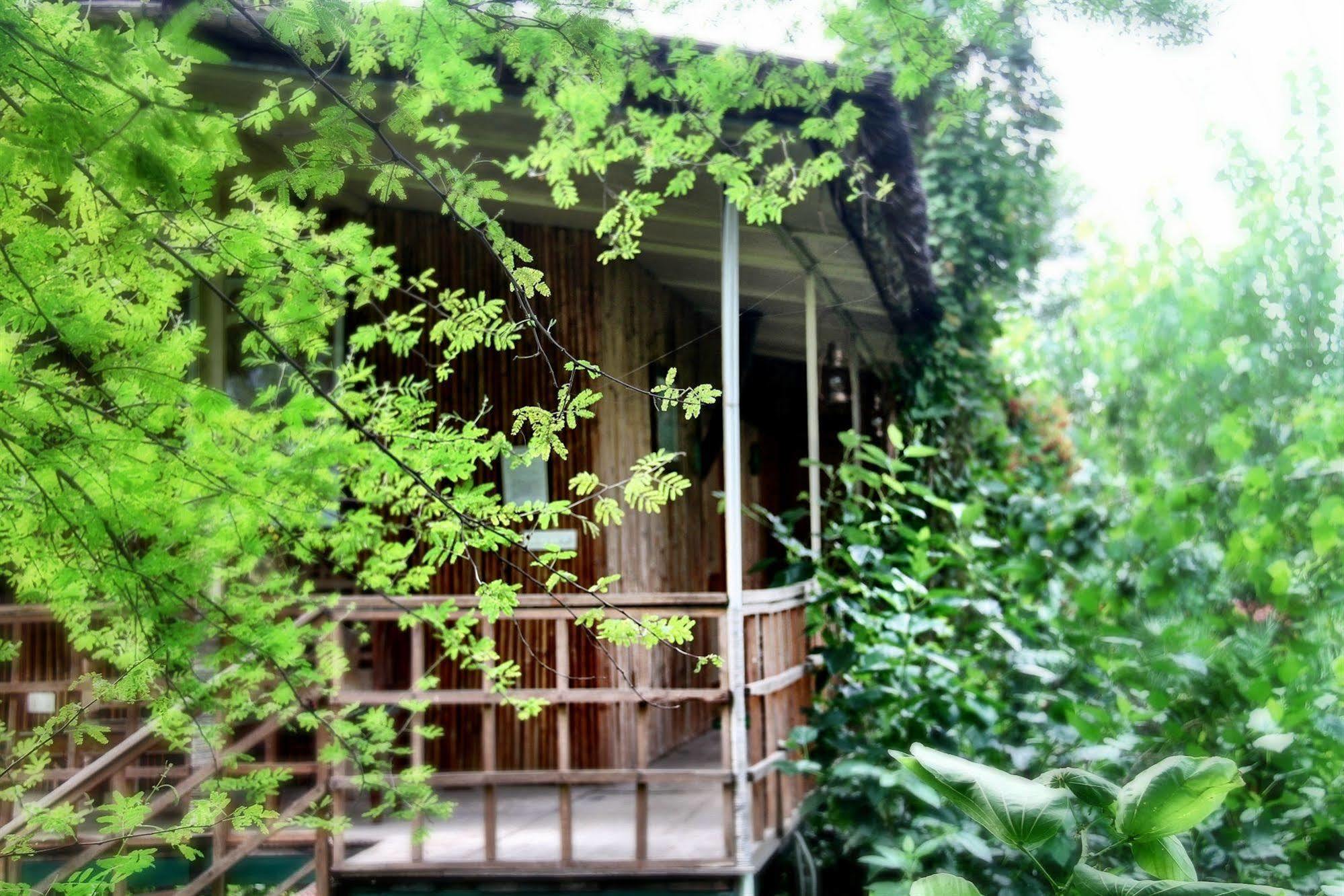 The Tree House Jaipur