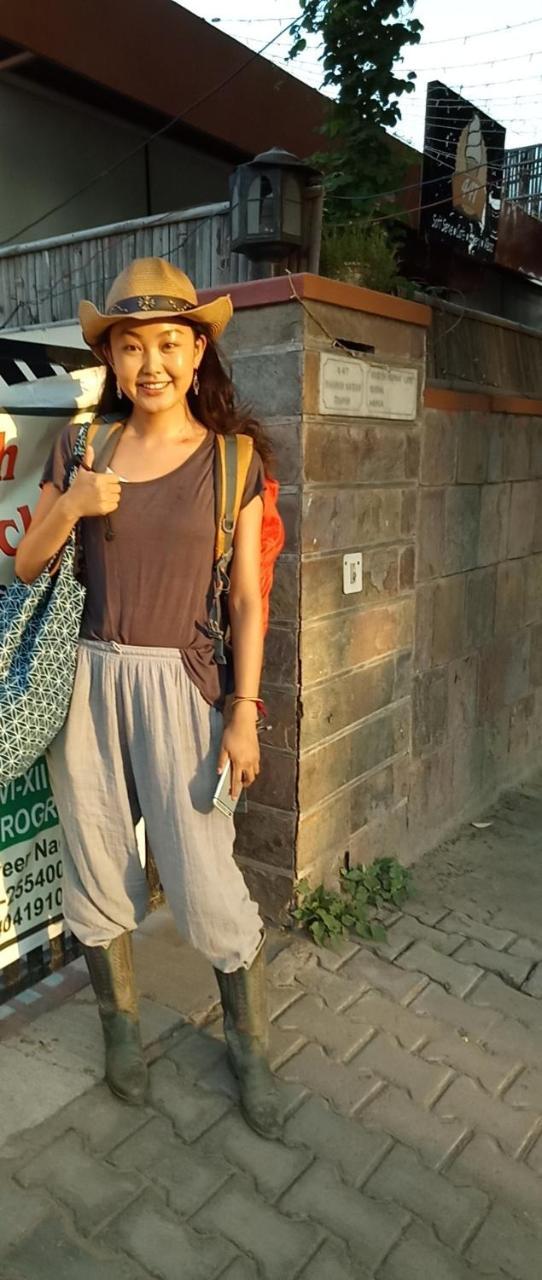 Lumb's Nest Hostel Jaipur