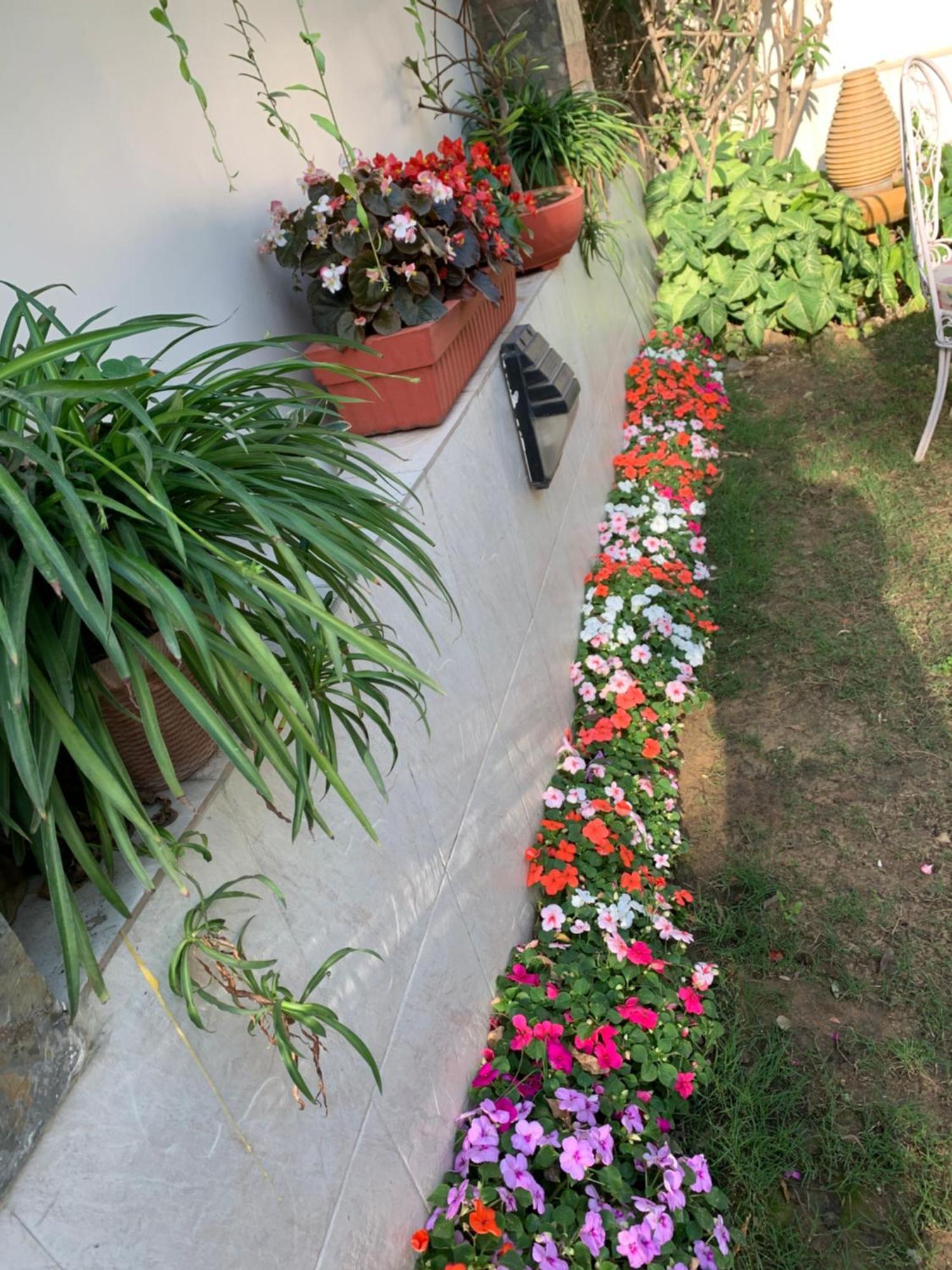 Camellia Heritage Homestay Jaipur