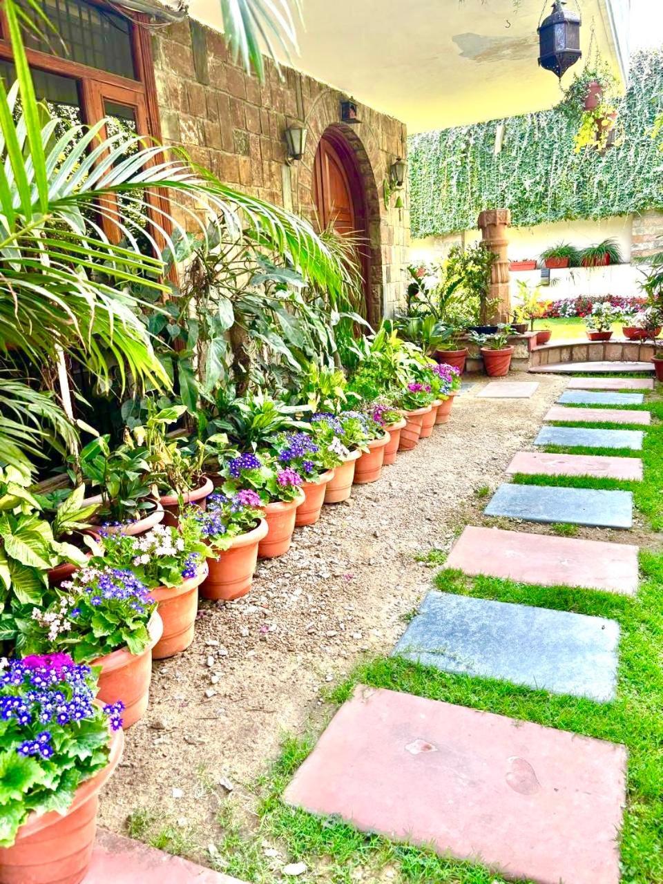 Camellia Heritage Homestay Bed & Breakfast Jaipur