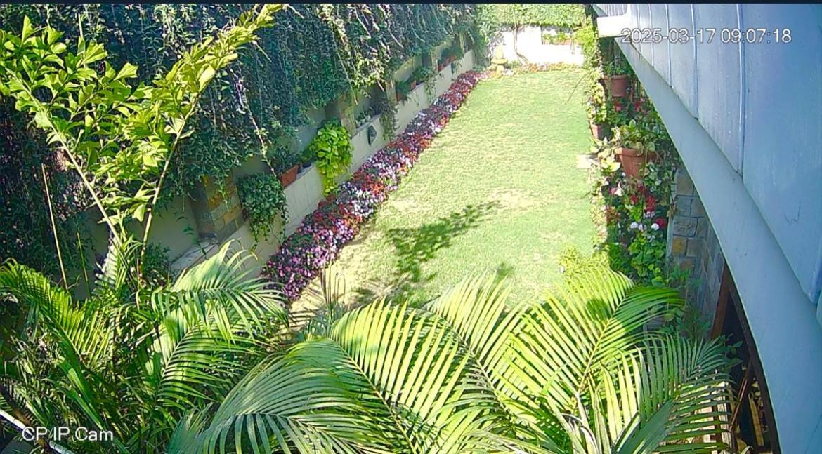 Bed & Breakfast Camellia Heritage Homestay Jaipur
