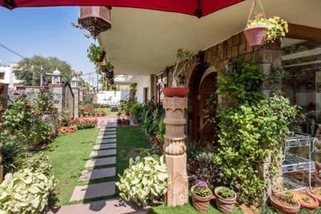 Camellia Heritage Homestay Jaipur